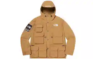 Supreme x The North Face Cargo Jacket