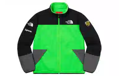 Supreme x The North Face RTG Fleece Jacket Green