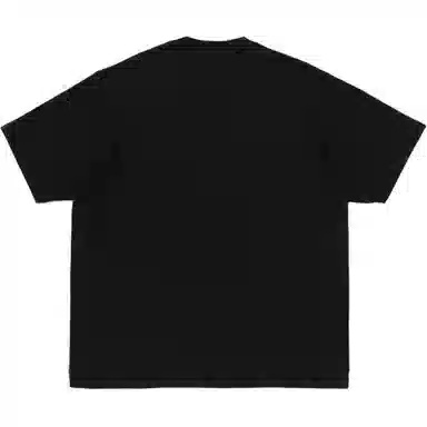 A BATHING APE SS25 T