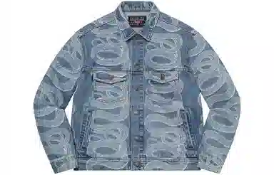 Supreme x HYSTERIC GLAMOUR Snake Denim Trucker Jacket