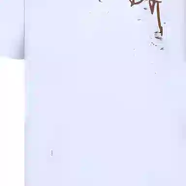 DIOR x Travis Scott FW22 T
