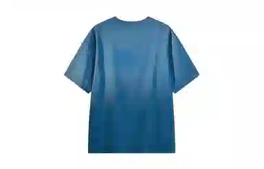 MANYSTON T