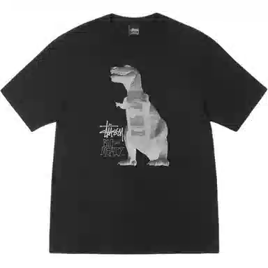 Stussy SS25 Big & Meaty Tee