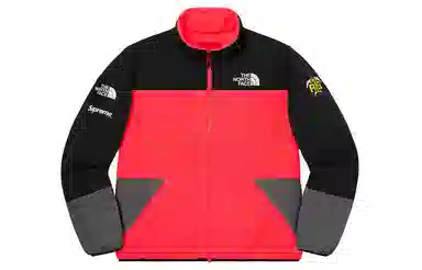 Supreme x THE NORTH FACE SS20 Week 3 RTG Fleece Jacket
