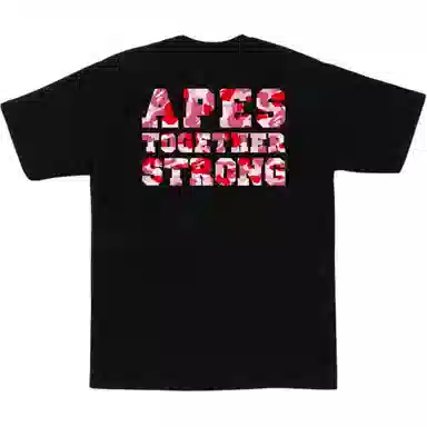 BAPE SS25 ABC CAMO T