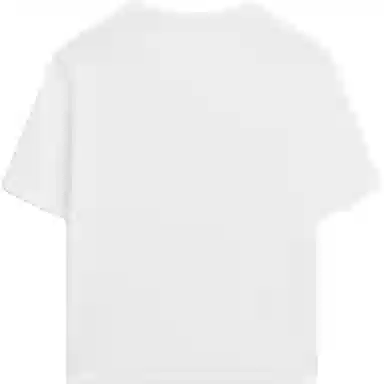 Massimo Dutti T