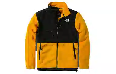 THE NORTH FACE 1995 RETRO DENALI JACKET Denali