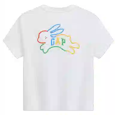 GAP MTSS Logo T