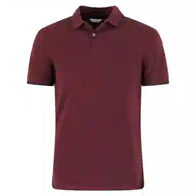 CALVIN KLEIN Polo