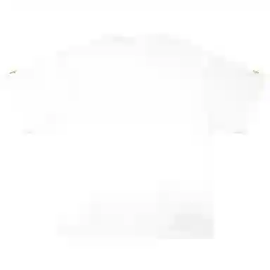 88rising T