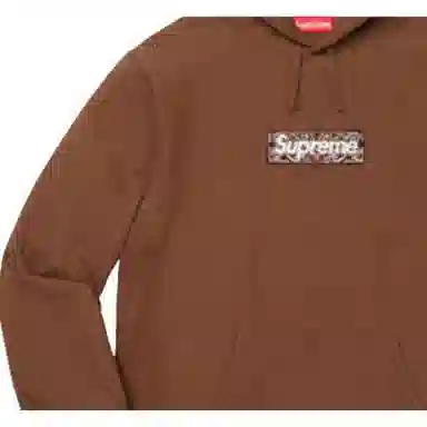 Supreme Bandana Box Logo Hooded Sweatshirt Brown