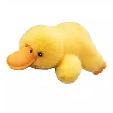 18cm