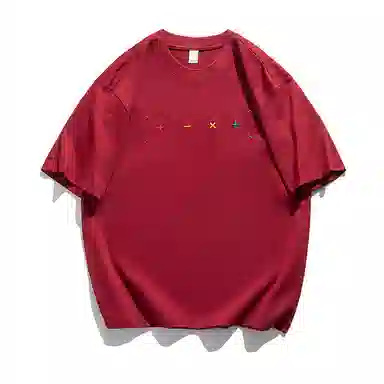 DZH T