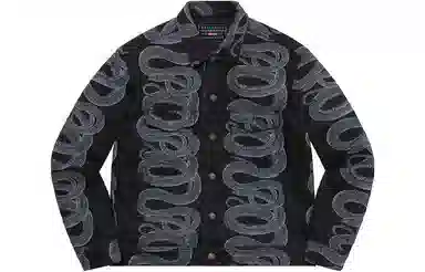 Supreme x HYSTERIC GLAMOUR Snake Denim Trucker Jacket