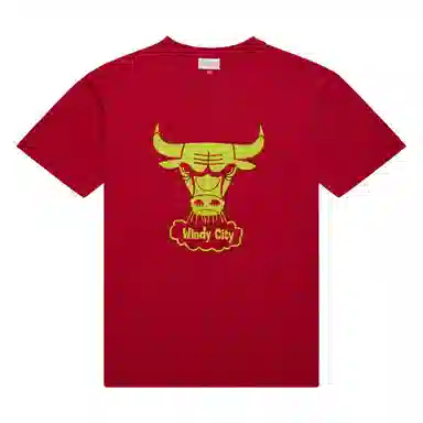 Mitchell Ness x NBA LOGOT