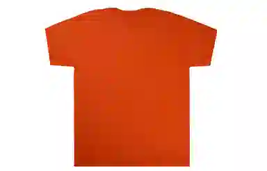 Champion T