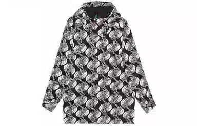 GUCCI x THE NORTH FACE Logo