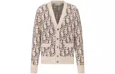 DIOR FW23 V