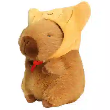 lionf 22cm33cm
