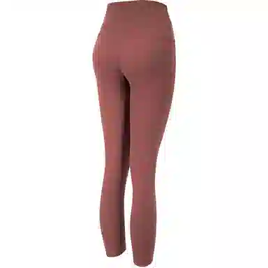 Nike Zenvy AS W NK DF HR Brown