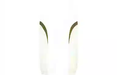 Supreme SS22 Week 1 Curve Track Pant