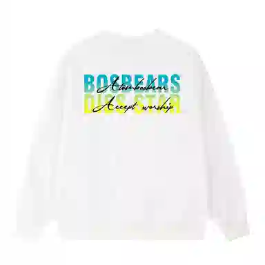 BOS BEAR LOGO
