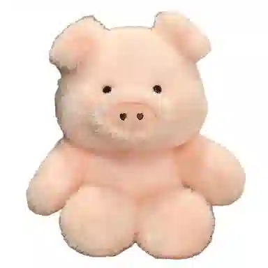 50cm
