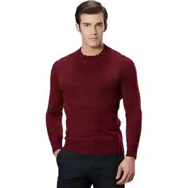 才子 含绵羊毛纯色圆领长袖针织衫 男款