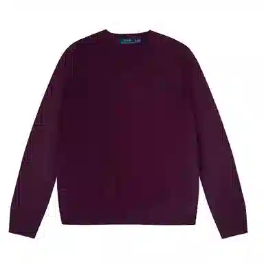 Polo Ralph Lauren FW23 LogoV