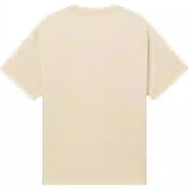 levis T