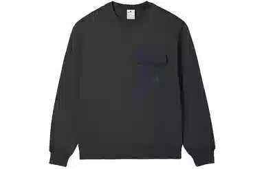 Champion FW24 c-tech Logo