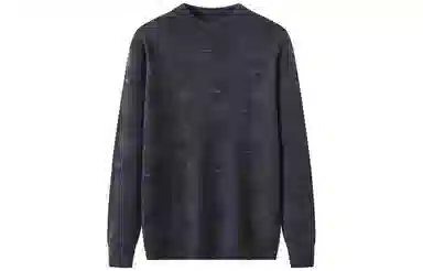 恒源祥 纯羊毛半高领提花针织衫毛衣 男款