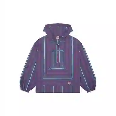 Vision Street Wear Hoodie