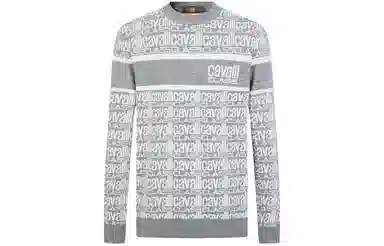 Cavalli Class Sweater