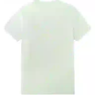 361 T )