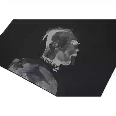 Revenge T