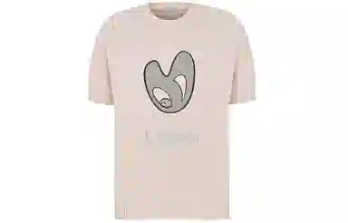 DIOR T