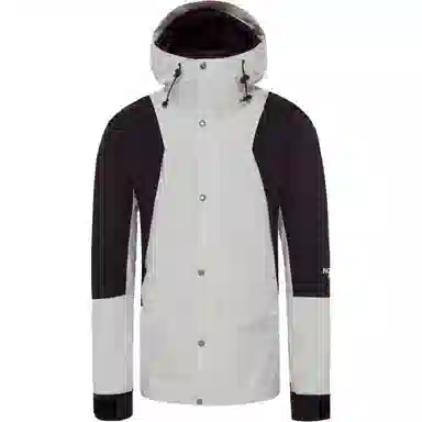 THE NORTH FACE 1994 Retro Mountain Light Gtx Jacket