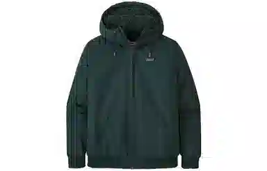 Patagonia Lined Isthmus Hoody