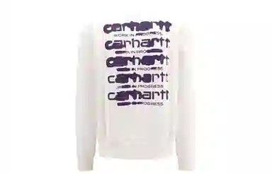 Carhartt WIP 'Ink Bleed' Coon SweatShirwih log