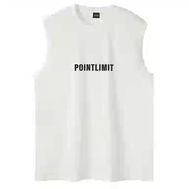 POINTLIMIT Logo