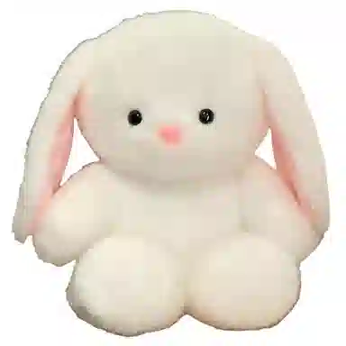 50cm