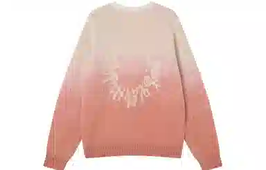 INXX APYD Sweater