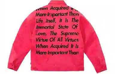 Supreme x JUNYA WATANABE COMME des GARÇONS MAN Printed Work Jacket