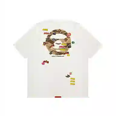 Aape T