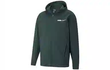 Puma Winterized Logo