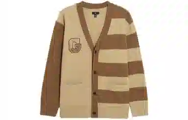 GAP Logo V-Neck Sweater