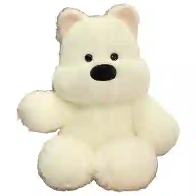 50cm