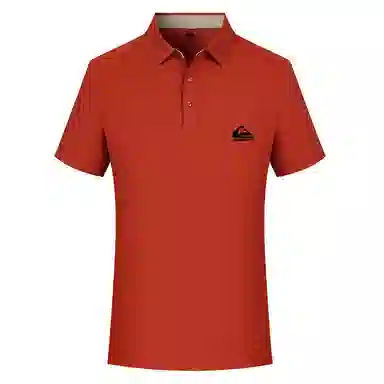 Quiksilver LogoPolo