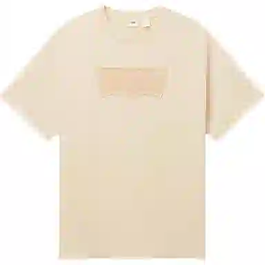 levis T